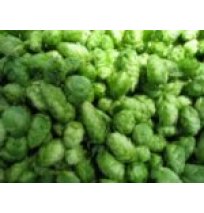 Northern Brewer Leaf - 100g AA 8.2% 2023 Harvest