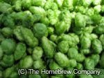 Southern Cross Leaf 100g AA 14.28% 2023 Harvest (NZ)