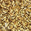 Golden Naked Oats EBC 10-20 Crushed 500g - Click Image to Close