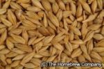 Lager Malt - (UK) crushed grain 500g