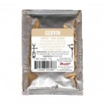 Gervin GV12 High Quality Ale Yeast (11 grams)