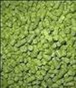 Saaz pellets 100g 3.7% AA Vacuum packed 2021 Harvest